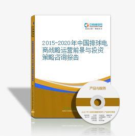 2015-2020年中国排球电商战略运营前景与投资策略咨询报告