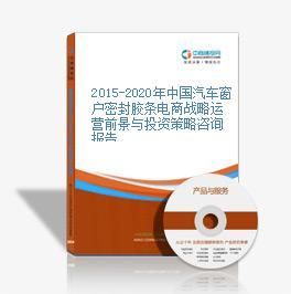 2015-2020年中国汽车窗户密封胶条电商战略运营前景与投资策略咨询报告